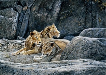 leones en roca Pinturas al óleo